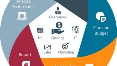 EPM - an essential requirement for business