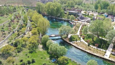 Beautiful aerial view of a park with a river and greenery in Turkey. — How To Build A Good Resume Build?