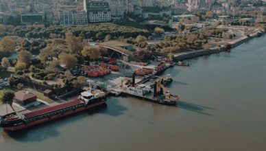 Aerial shot of Istanbul waterfront showing ships docked along a lush green shoreline. — Make Sure You're On Top with