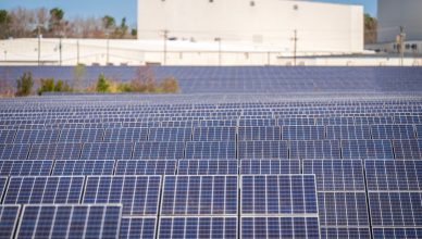 Clean Max and ACME Solar shares
